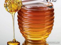 Мёд - целебный продукт, который поможет всему организму