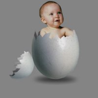 Агентство по подбору донора яйцеклетки