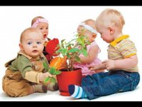 Комнатные цветы, безопасные для детей