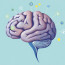 The Science Behind Child Brain Development: Unlocking the Secrets of Growing Minds