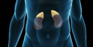 Рак надпочечников. Что нужно знать?