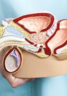 Проблемы с мужским здоровьем. Об этом должен знать каждый.