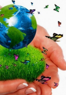 Международный денежный фонд