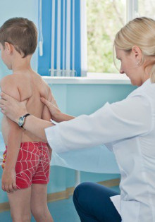 Что такое вертебрология?