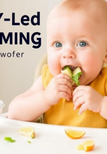 Baby-Led Weaning: A Complete Guide to Nourishing Your Little One Naturally