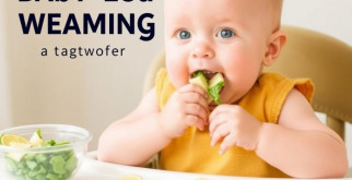 Baby-Led Weaning: A Complete Guide to Nourishing Your Little One Naturally