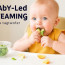 Baby-Led Weaning: A Complete Guide to Nourishing Your Little One Naturally